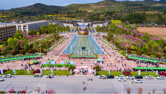 櫻花時節(jié) 珍稀春釀 | 金徽酒2023櫻花春釀盛典,珍稀更“珍惜”