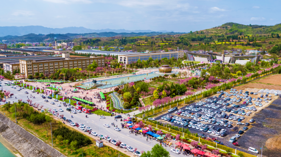 櫻花時節(jié) 珍稀春釀 | 金徽酒2023櫻花春釀盛典,珍稀更“珍惜”