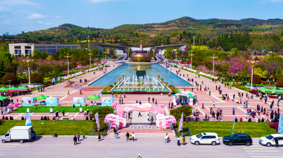 櫻花時節(jié) 珍稀春釀 | 金徽酒2023櫻花春釀盛典,珍稀更“珍惜”