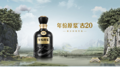 透過半年報,看徽酒四強AB面|佳釀網·財