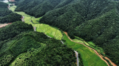 一縷特香里藏著怎樣的江南風味?